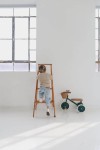 Rowerek trójkołowy Trike Dark Green / Banwood