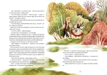 Bracia Grimm. Najpiękniejsze baśnie / Wydawnictwo Zielona Sowa