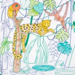 Zestaw do kolorowania z silikonową matą - Amazonia / Super Petit