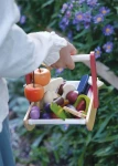 Leśny koszyk odkrywcy / Tender Leaf Toys