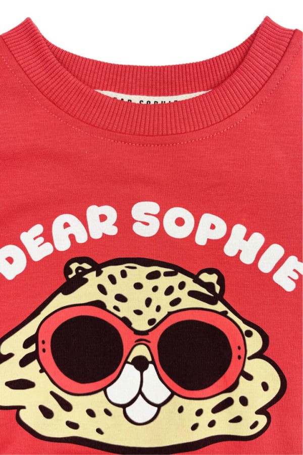 Bluza bufiasta - chomik ceglasty / Dear Sophie