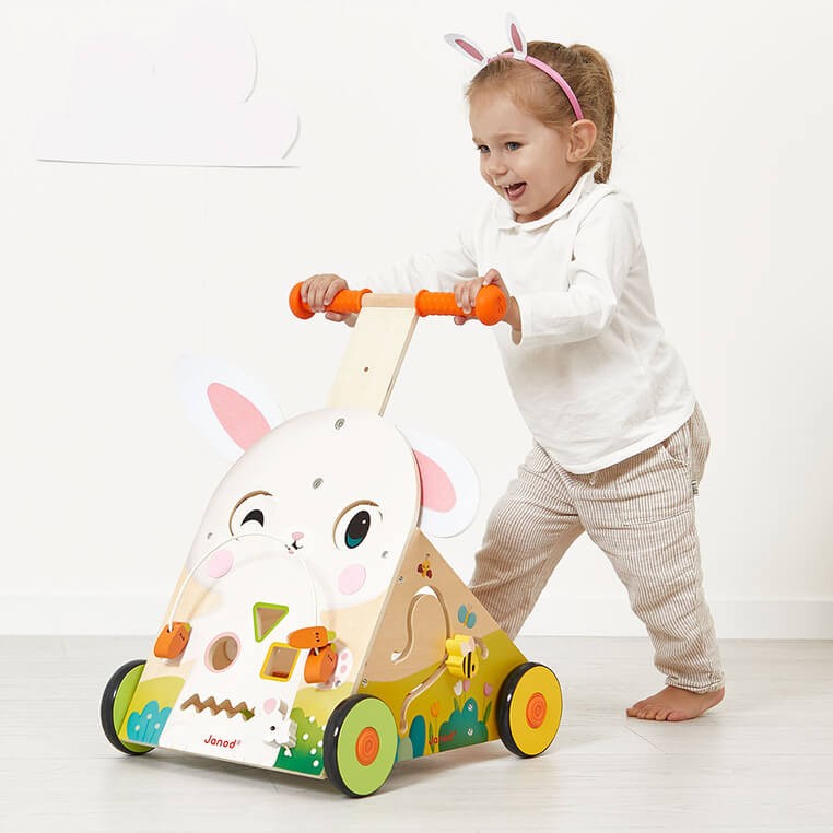 Wielofunkcyjny pchacz edukacyjny Farma 12 m+ / Janod