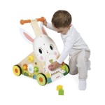 Wielofunkcyjny pchacz edukacyjny Farma 12 m+ / Janod