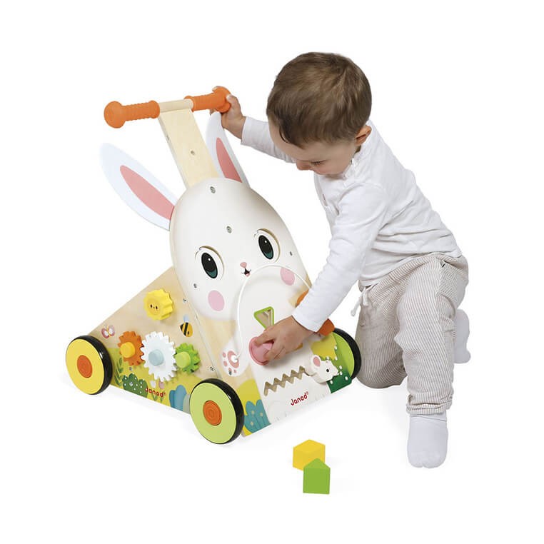 Wielofunkcyjny pchacz edukacyjny Farma 12 m+ / Janod