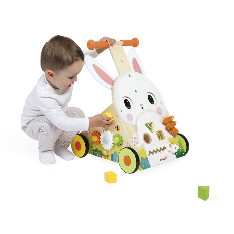 Wielofunkcyjny pchacz edukacyjny Farma 12 m+ / Janod