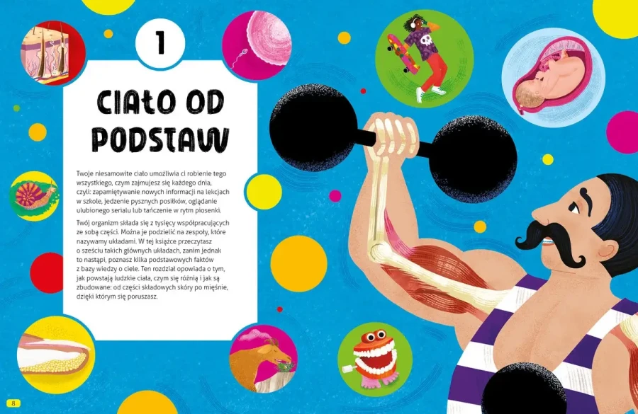 Wszystko o ciele / Wydawnictwo Wilga