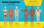 Wszystko o ciele / Wydawnictwo Wilga