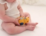 Miś Roly Poly 6m+ / TOLO Bio