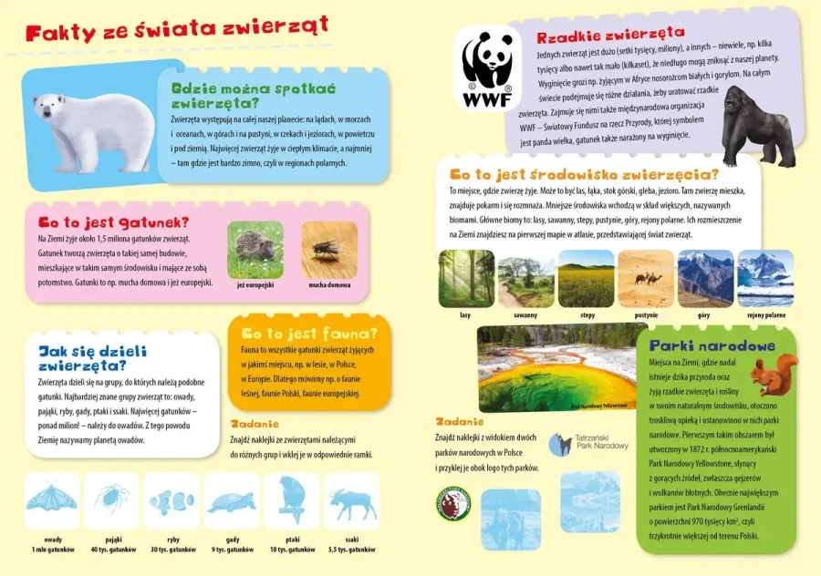 Atlas zwierząt świata z naklejkami i plakatem / Wydawnictwo Wilga
