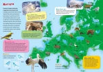 Atlas zwierząt świata z naklejkami i plakatem / Wydawnictwo Wilga