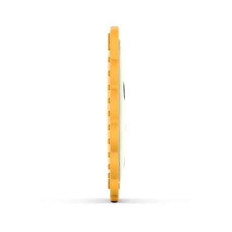 Flat Face Lion gryzak płaski / Matchstick Monkey