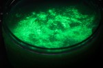 Zestaw DIY Slime - świecący w ciemności / Tuban