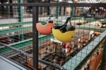 Kask XXS-S dla dzieci 1rż+ Peach / Scootandride