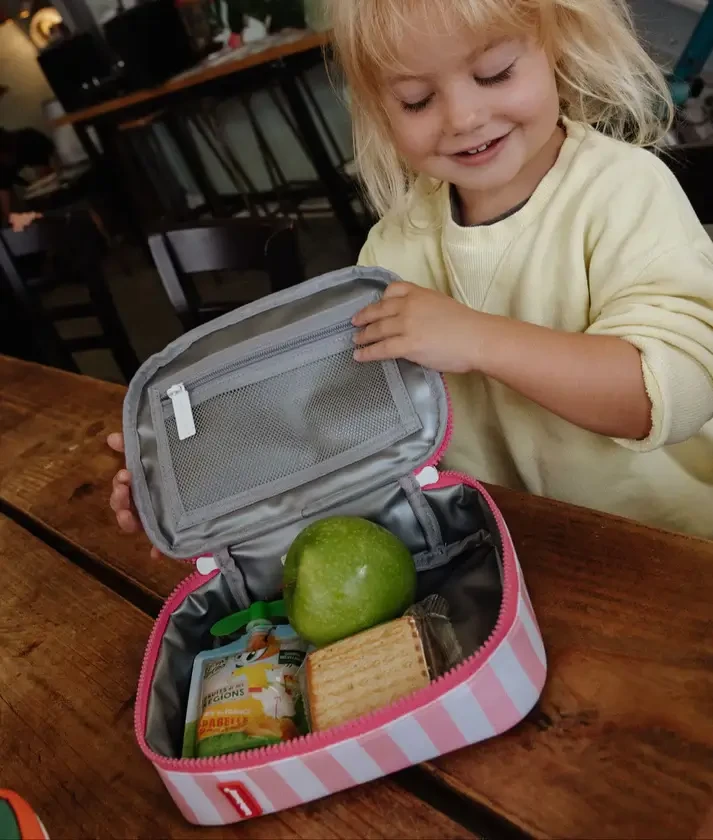 Lunchbox Mini Pink Stripes / Hello Hossy