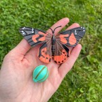 Zestaw figurek Cykl Życia Motyla / Insect Lore