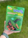 Zestaw figurek Cykl Życia Motyla / Insect Lore