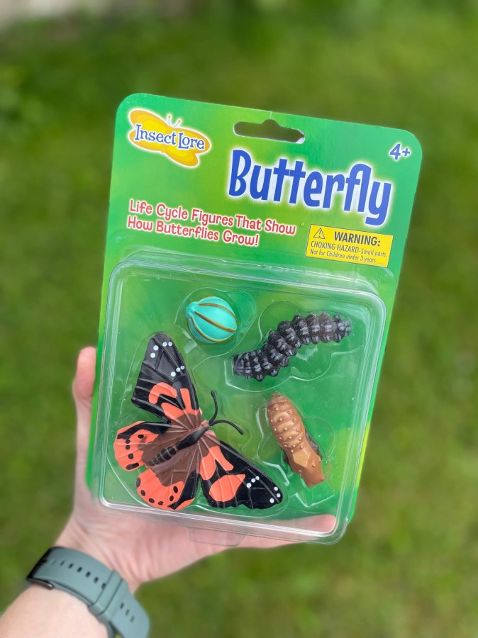 Zestaw figurek Cykl Życia Motyla / Insect Lore