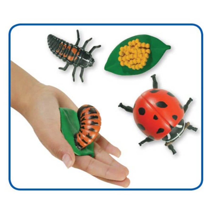 Zestaw figurek Cykl Życia Biedronki / Insect Lore