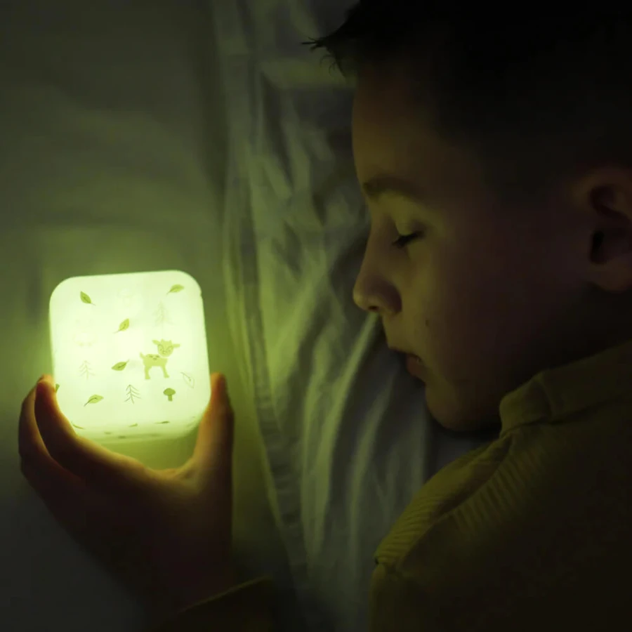 Przenośna lampka nocna świecąca kostka - Las / Cloud b