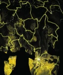 Harry Potter i Czara Ognia. Tom 4 (wydanie ilustrowane) / Wydawnictwo Media Rodzina