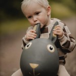 Skoczek - Królik / Find that Hippo