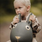 Skoczek - Królik / Find that Hippo