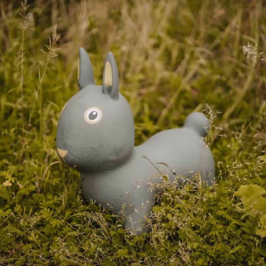 Skoczek - Królik / Find that Hippo