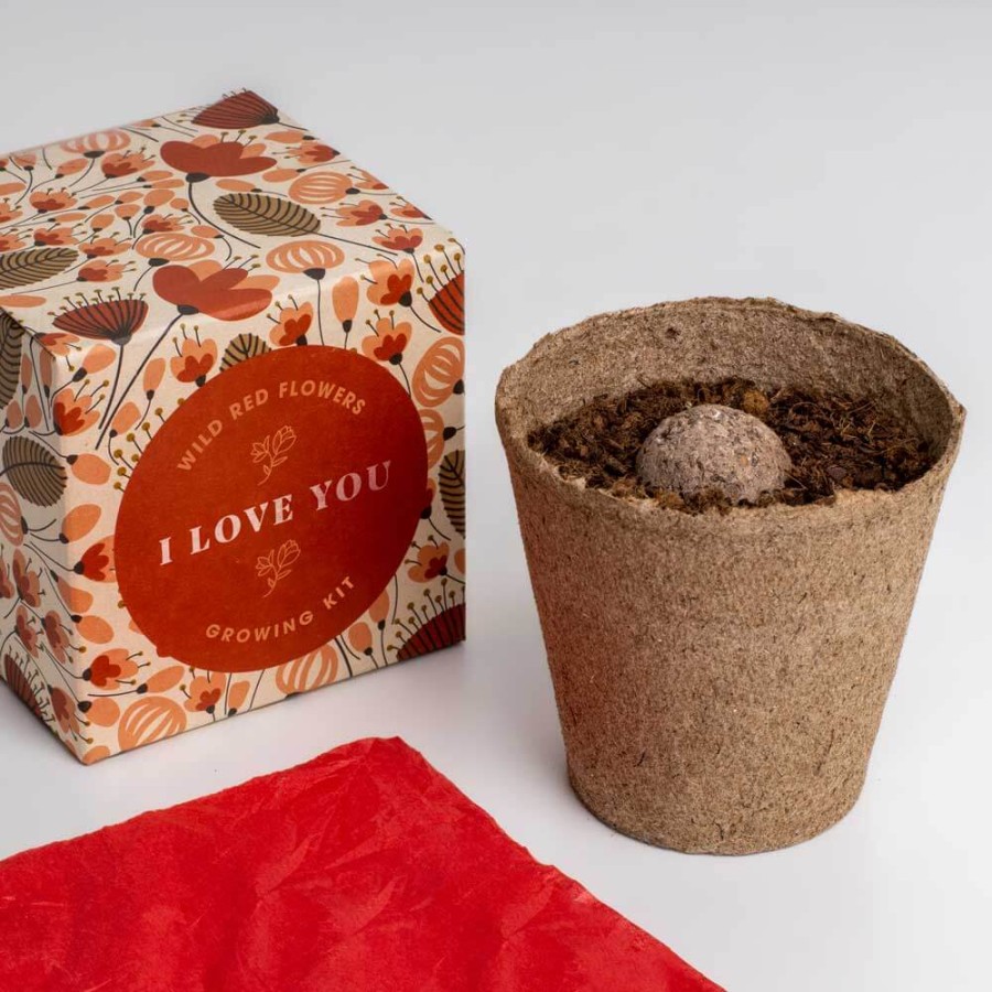 Zestaw prezentowy do sadzenia kwiatów Say it with Flowers - I love you / Resetea