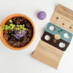 Bomby nasienne - Wild Purple Flowers, 2szt. / Resetea