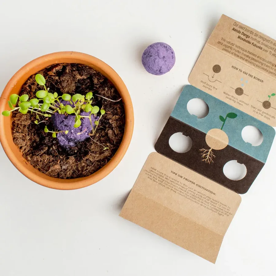 Bomby nasienne - Wild Purple Flowers, 2szt. / Resetea