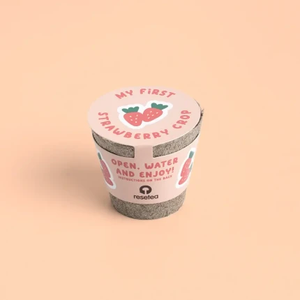 Mini doniczka - Truskawki / Resetea