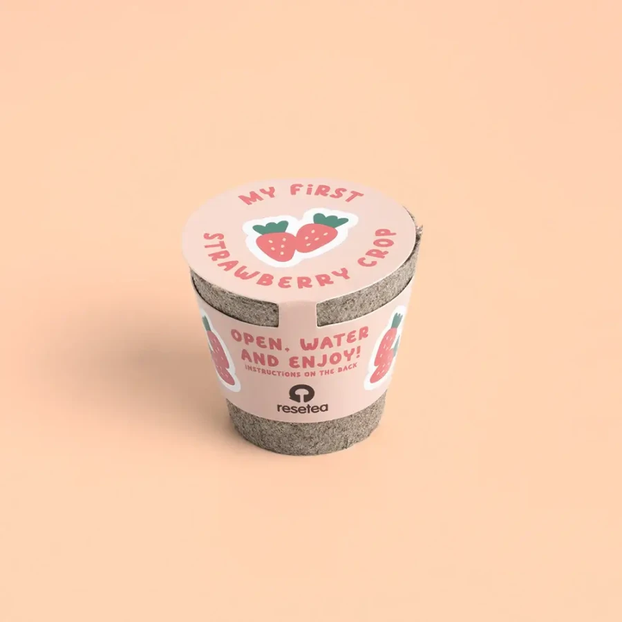 Mini doniczka - Truskawki / Resetea