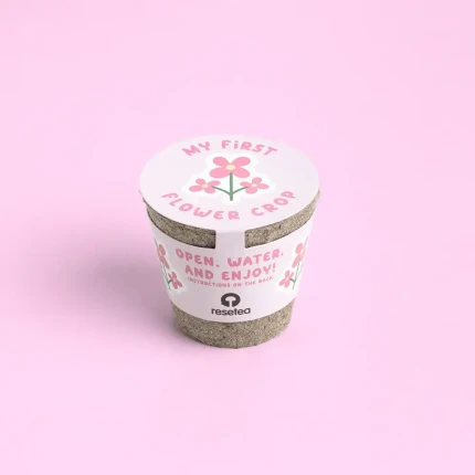 Mini doniczka - Kwiaty / Resetea