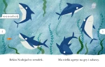 Rekin Nudojad. Czytam sobie. Poziom 1 / HarperCollins