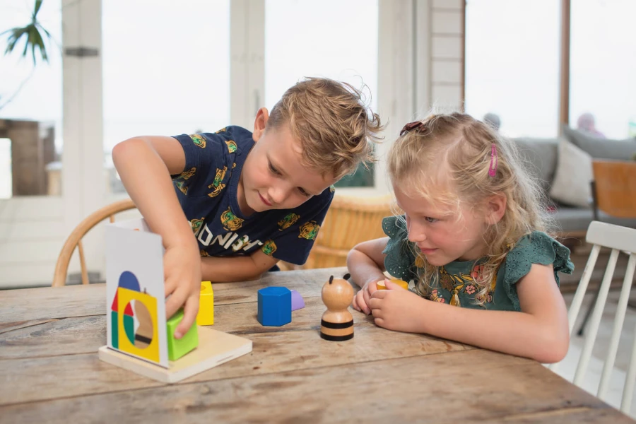 Łamigłówka 3D PANDA, drewniana gra edukacyjna / BS Toys