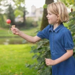 Gra zręcznościowa Kendama lody / BS Toys