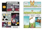 Koty - natura i wychowanie / Wydawnictwo Nasza Księgarnia
