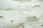 Śpiworek z organicznego muślinu z nogawkami 1-3 lata, 2,5 TOG - alpacas / My Memi