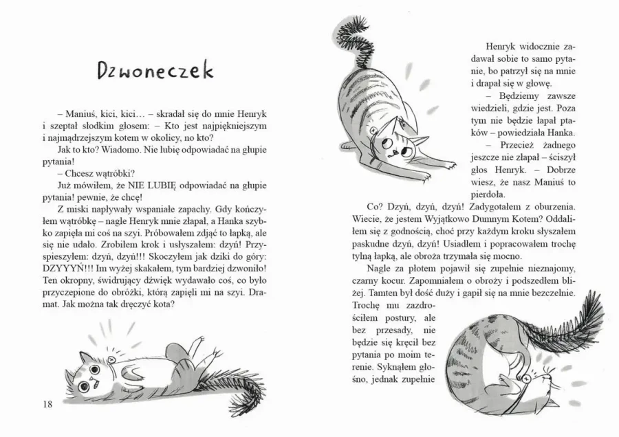 Zapiski wrednego kota / Wydawnictwo Literatura