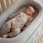 Kokon niemowlęcy Welcome Pod® - Harmony Grey / Inglesina