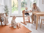 Krzesełko do karmienia DANCHAIR - mocca mousse / BabyDan