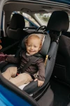 Wkładka antypotowa do fotelika 9-18kg - Cherries / AeroMoov