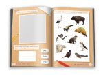 Moja książka Montessori 4-latka / Wydawnictwo Demart