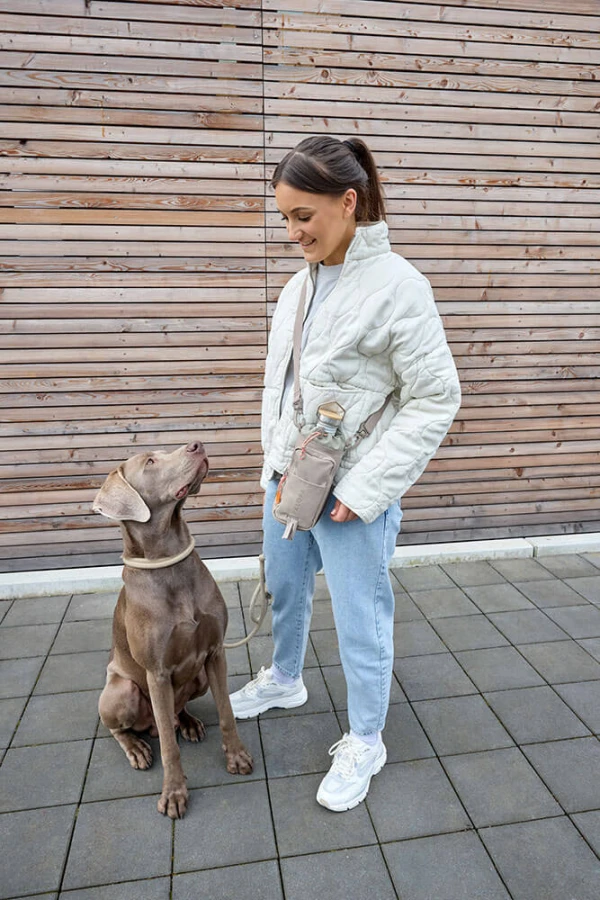 Torebka saszetka na butelkę i smakołyki 2w1 Boudi - taupe / Palopa