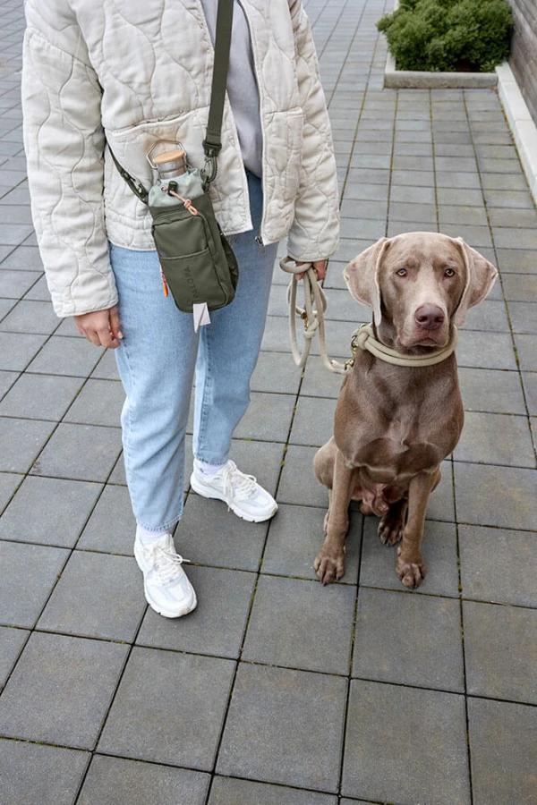 Torebka saszetka na butelkę i smakołyki 2w1 Boudi - dark olive / Palopa