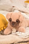 Pluszowy obciążeniowy pies beżowy Les P'tits Relax / Histoire d'Ours