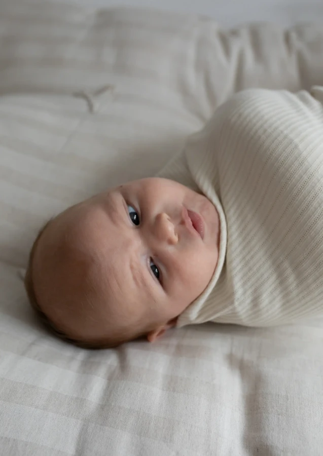 Otulacz Baby Burrito Snowflake / The Slings