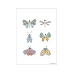 Plakat A3 - Motyle / Little Dutch