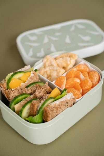 Lunch box Goose / Little Dutch
