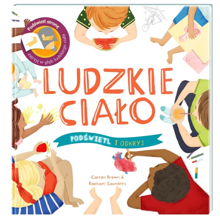 Ludzkie ciało. Podświetl i Odkryj / Wydawnictwo Api Papi